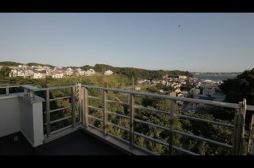 I Left My Harp in Denver