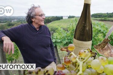 How a Former Wall Street Banker Created One of the World's Best White Wines | Euromaxx