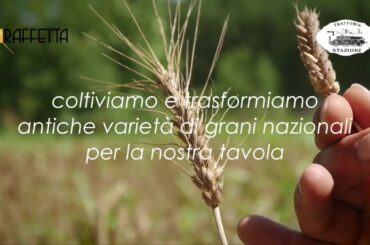 Una famiglia una filiera km0 - Trattoria Stazione, Castel d'Ario (Mantova Italy)