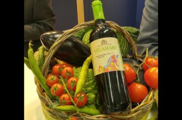 Winery Feudi di Guagnano, Salerno,  Italy