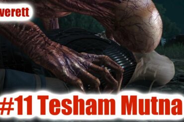 The Witcher 3: Blood and Wine ITA #11: Tesham Mutna (Con Fiocco)