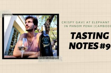 CRISPY GAVI AT ELEPHANT BAR IN PHNOM PENH (CAMBODIA) -- TASTING NOTES #9