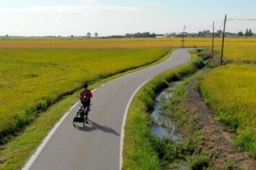 Francigena Vlog 48 | Italy | Santhià to Vercelli 27.9 km