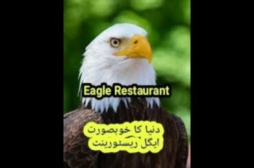 Beautiful restaurant of the world The eagle . دنیاکاخوبصورت رسٹورنٹ