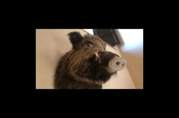 Sarap pasyalan | il borro Toscana |