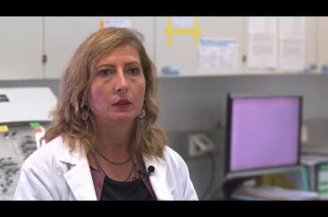 Italian scientists believe jellyfish will soon be a brand new delicacy in Europe