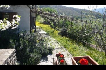 Umbria, Italy | Agriturismo Alla Madonna del Piatto | Assisi Farm Stay and Cooking School