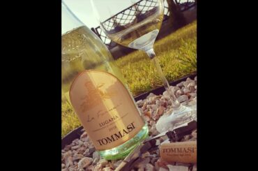 🍷🍇Le Fornaci Lugana🍇🍷