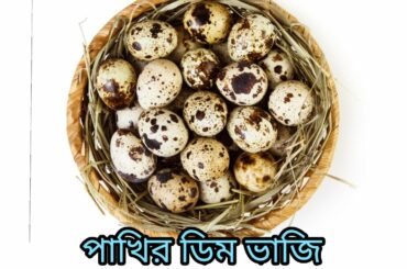 পাখির ডিম দিয়ে গরম গরম ভাত খেলাম। || I ate hot rice with bird eggs || sopna's vlog italy