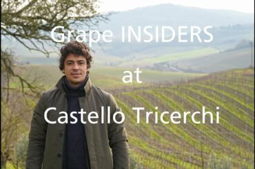 Grape INSIDERS: Castello Tricerchi in Montalcino with Tommaso Squarcia