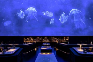 Restaurant Alchemist - a holistic dining experience in Copenhagen