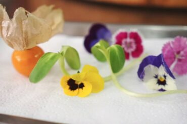 Salmon & Flowers | Bacco Italian restaurant & Wine Bar