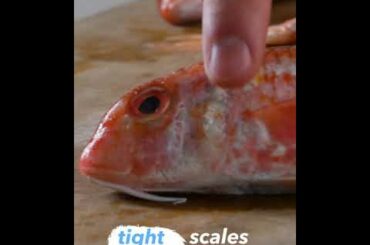 How to Choose a Whole Fish | How to Choose | La Cucina Italiana USA