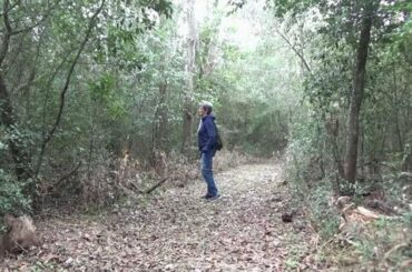 LUNCH IN THE WILD - Country Trails