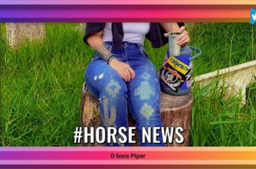 Top 10 #horse Posts, Starring: debora.piper