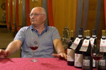 The Cantina: the Nebbiolo di Carema winery