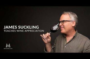 James Suckling Teaches Wine Appreciation | Official Trailer | MasterClass