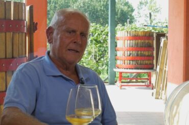 Grapes into wine Erbaluce