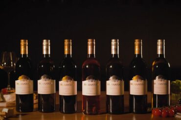 Big Banyan Wines Brand Story - Land. Lore. Love.