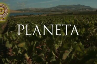 Buy Chardonnay Sicilian Wine & Teste | Seller gpbrdands.eu Brings Best italian & French Wines Onilne