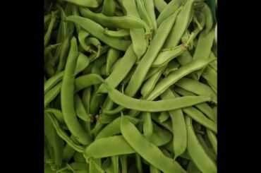 Italian Pole Beans, Stewed with San Marzano Tomatoes