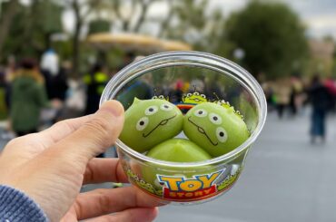 Tokyo Disneyland Food