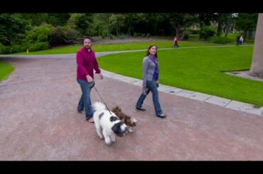 Dog-Friendly Home in Aberdeen