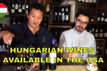 Hungarian Wines in The USA Part 2