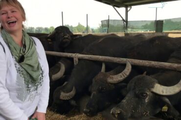 - ITALIA GUSTOSA -   Cooking Course and Cultural Experience (by MEC Academy Experiences)