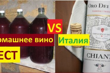 Виноградное вино Oro dei Sani Chianti,Италия,сухое вино.Тест вина в воде,домашнее вино,сравнение.