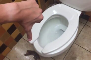 2,146.  Ragu Italian Kitchen Unisex Restroom