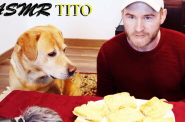 ASMR Bruschetta Italian food ASMR Dog No Talking) EATING SOUNDS