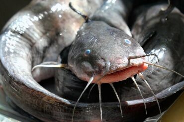 Thai Food - CATFISH MEATBALLS Aoywaan Bangkok Seafood Thailand