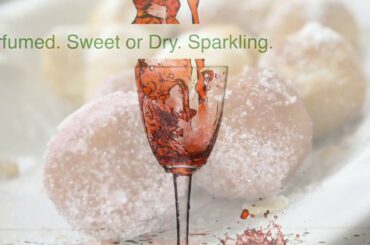 #4/4 - Chose Italian Wines from Marches: Pecorino, Lacrima, Vernaccia and more Local Wines