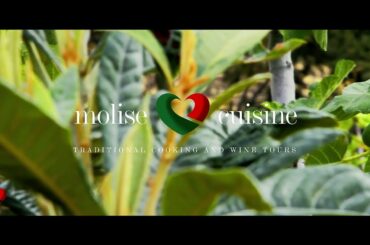 Molise Cuisine - Traditional cook and wine tours in San Martino in Pensilis