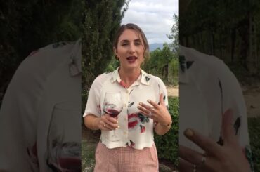 tuscany wine tours: family own wineries