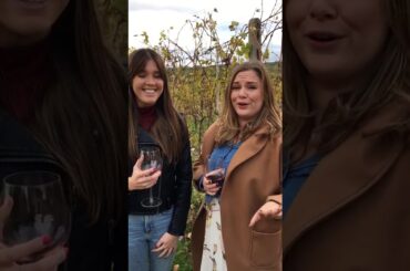 tuscany wine tasting: exceeded expectations