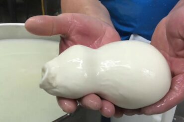 Fresh mozzarella made in Bari, Italy