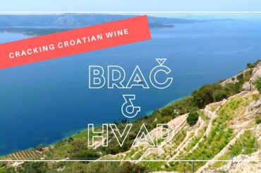 Cracking Croatian Wine in Brač and Hvar (Dalmatia)