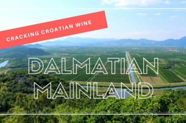 Cracking Croatian Wine: Dalmatian Mainland