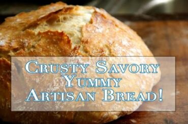 Savory Crusty Artisan Bread - No Knead and easy to make!