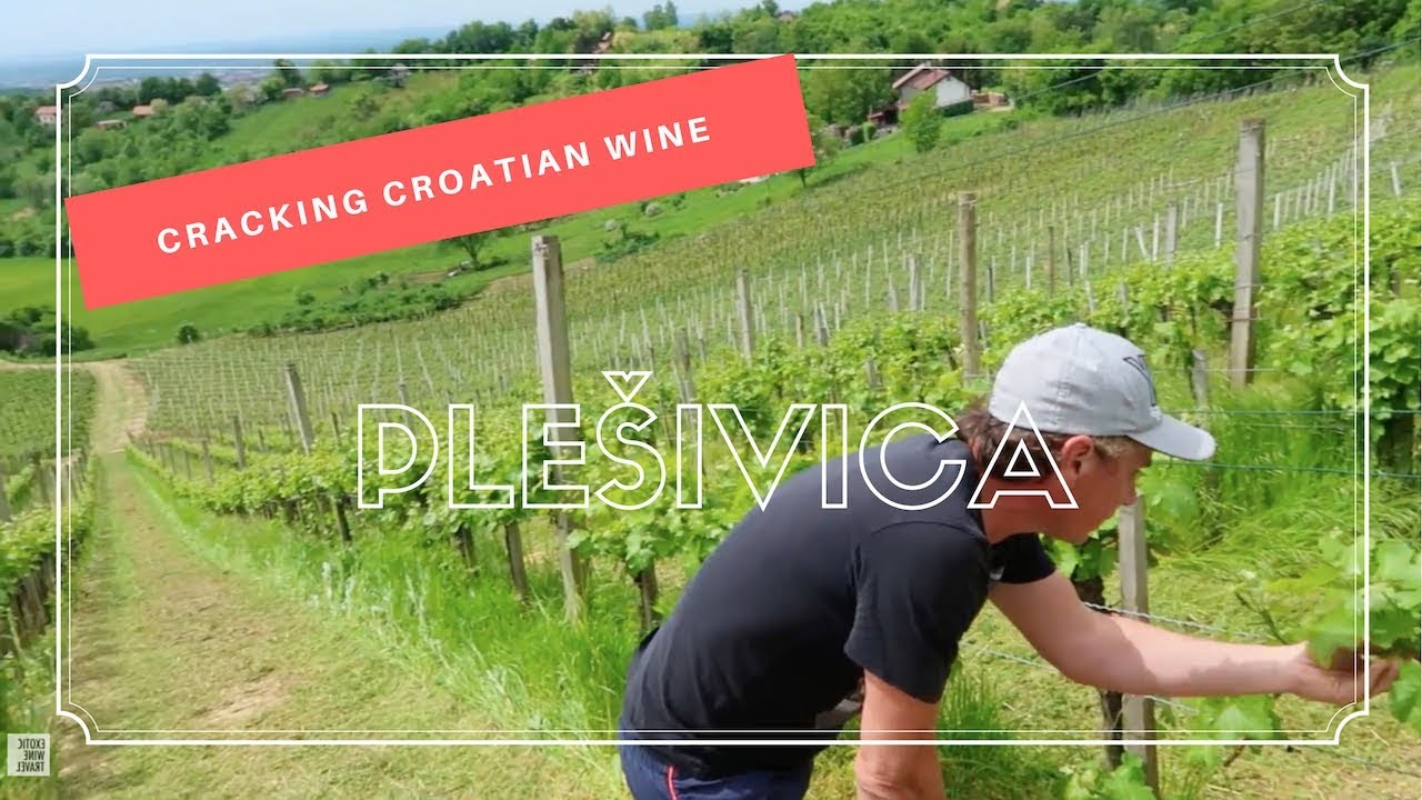 Cracking Croatian Wine in Plešivica Cracking Croatian Wine in Plešivica