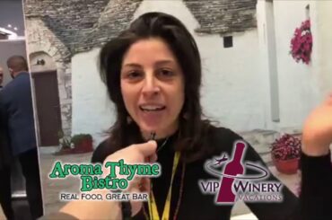 What's Hot at the NY Times Travel Show 2020