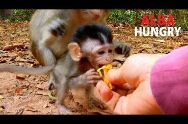 I'M SO HUNGRY !! Give soft fruit help Alba to eat | Anna jealous steal fruit from Alba.