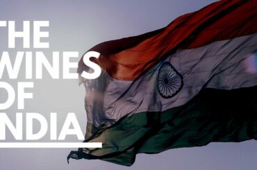 The Wines of INDIA. Country review and tasting Indian wines.