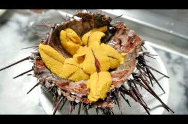 Eating LIVE Sea Urchin - Off The Street! (Uni Sashimi)