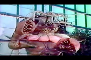 VENUS FLYTRAP | The Revenge of Dr. X | Body of the Prey | Full Length Sci-Fi Movie | English | HD