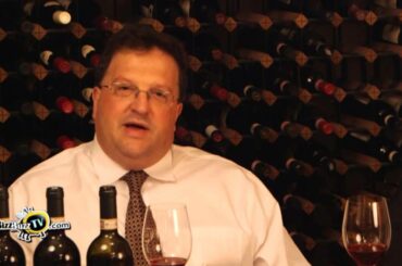 2010 Vintage Wine of Italy