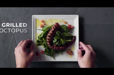 Twisted Olive- Octopus