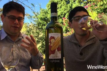 2014 I Stefanini Soave DOC Balanced Exciting Italian White Wine